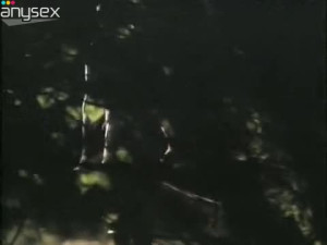 Two light haired filthy chicks have awesome sex in haymow